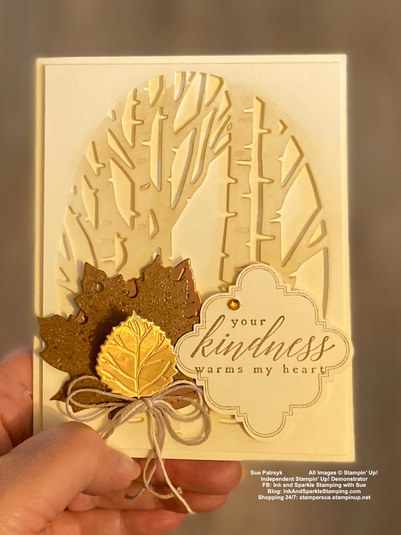 スタンピンアップ　DSP 12インチ　110枚！ Cardstock | Ink and Sparkle Stamping